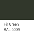 Fir-Green-RAL-6009